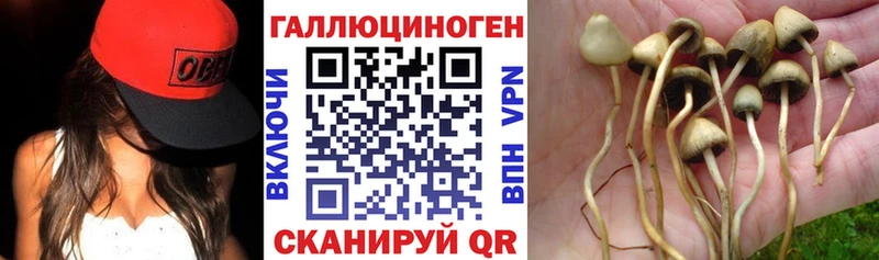 Псилоцибиновые грибы Psilocybine cubensis  купить   Конаково 